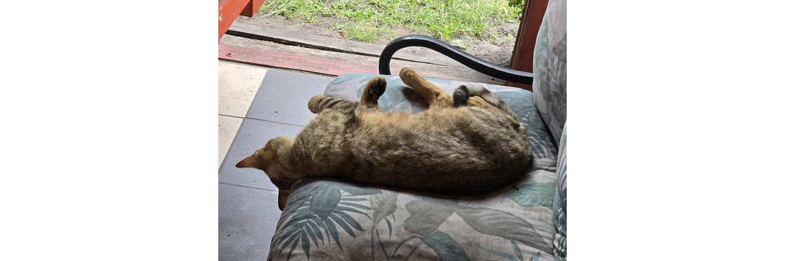 The Ministry of Naps